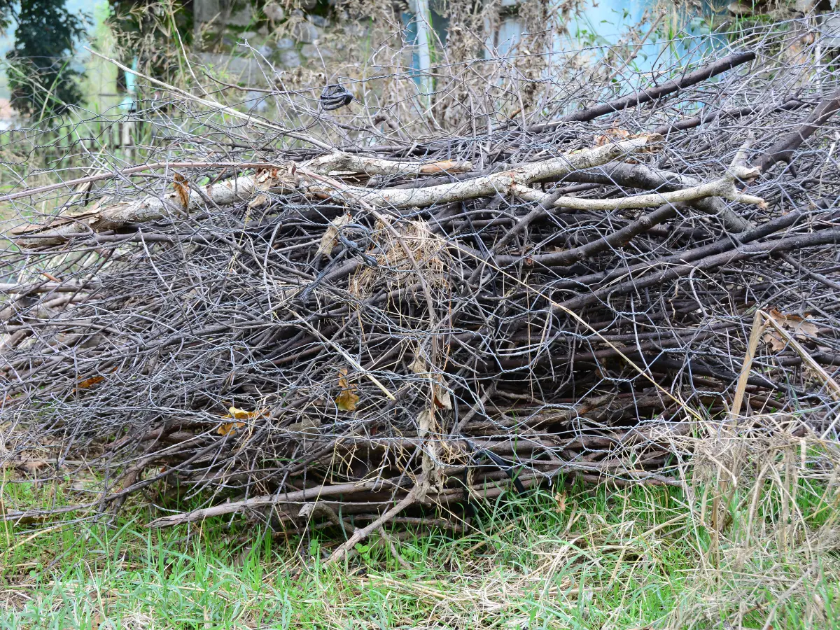 Krčenje šiblja