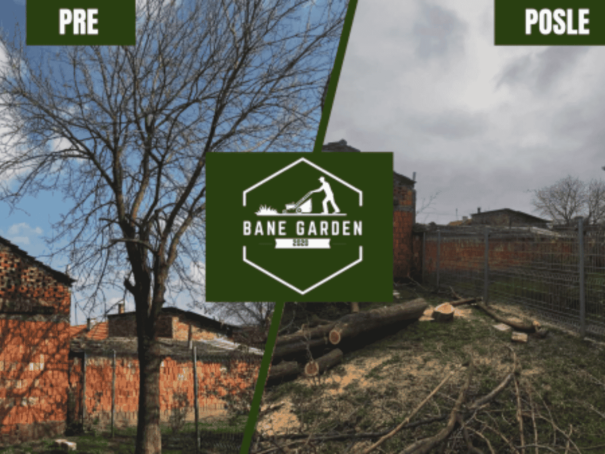 Naš rad 3